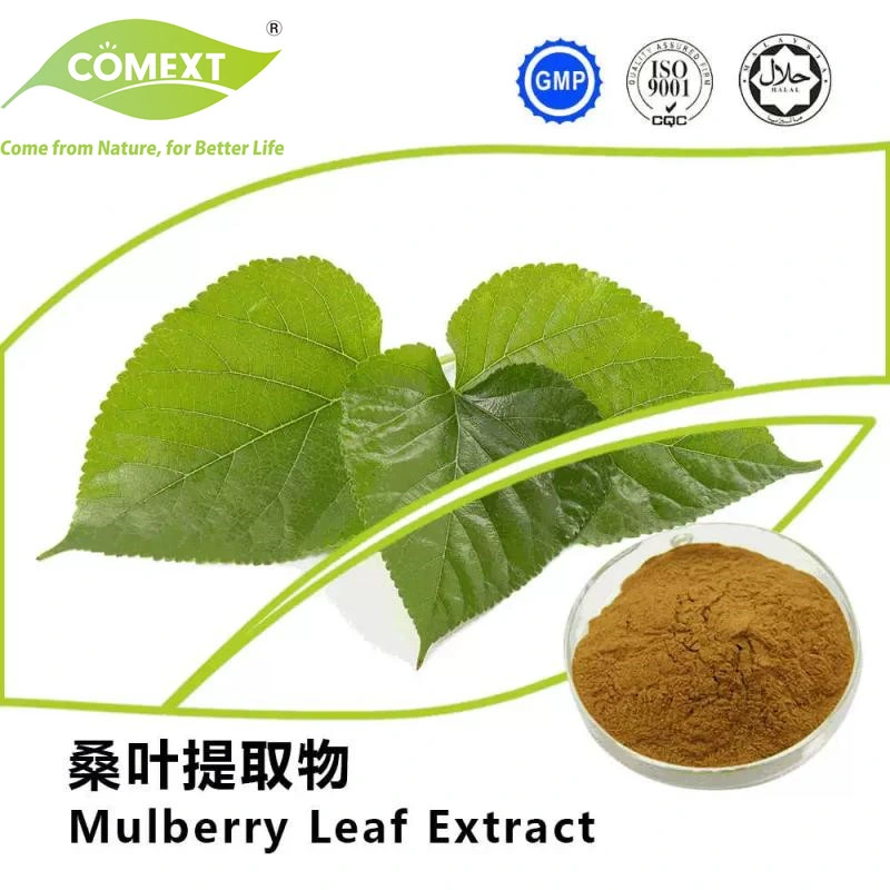 Comext Herbal Natural Mulberry Leaf Extract 1%1-Deoxynojirimycin (1-DNJ) Powder